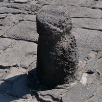 Photo de France - La randonnée de la Tamarissière